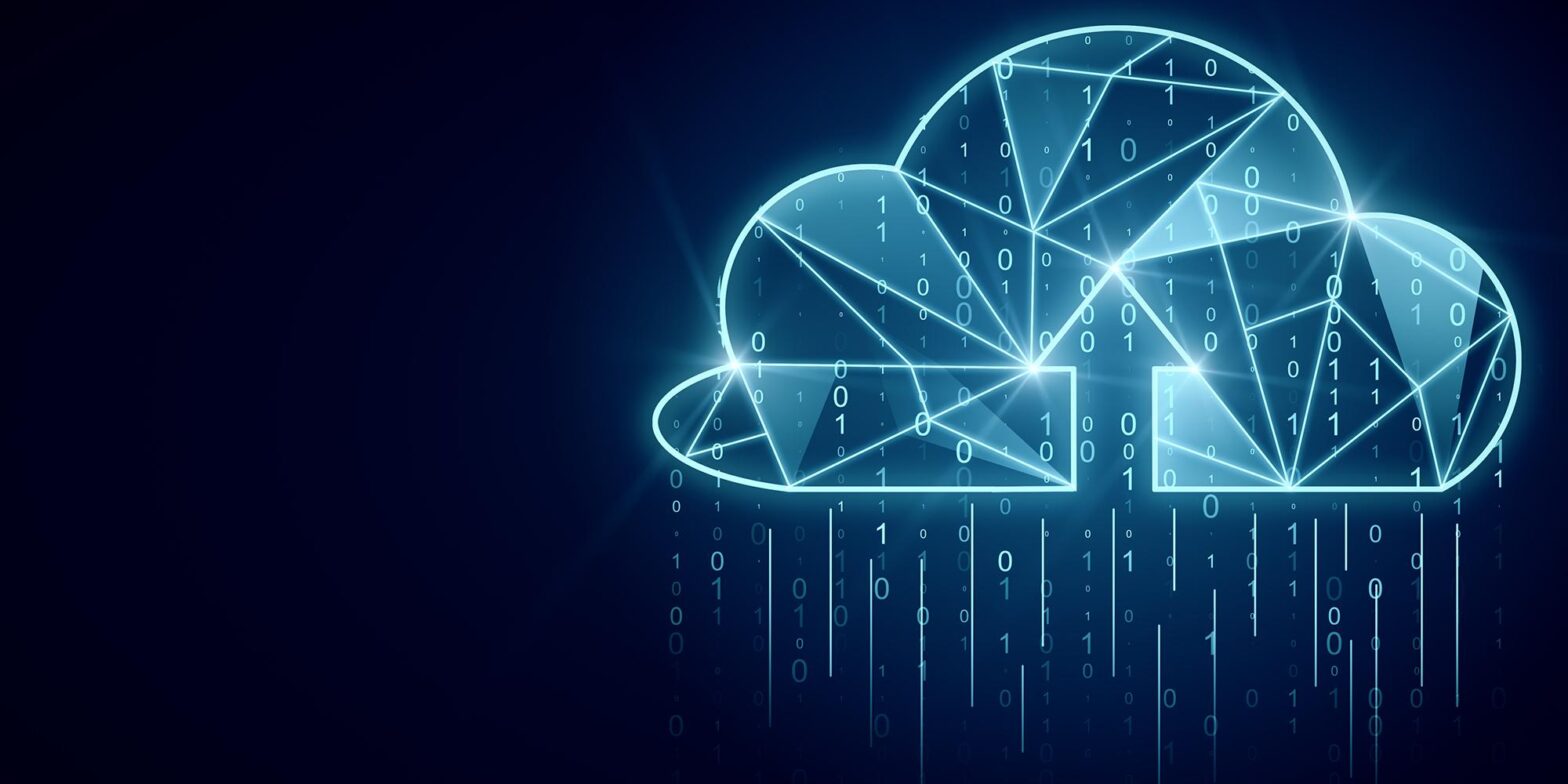The Total Economic Impact of High-Performance Low-Code